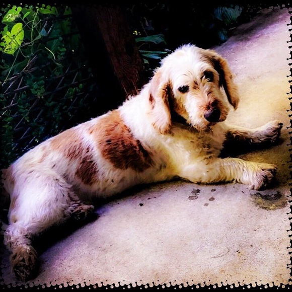 Meet your Posher, Kristy - Picture 5 of 5